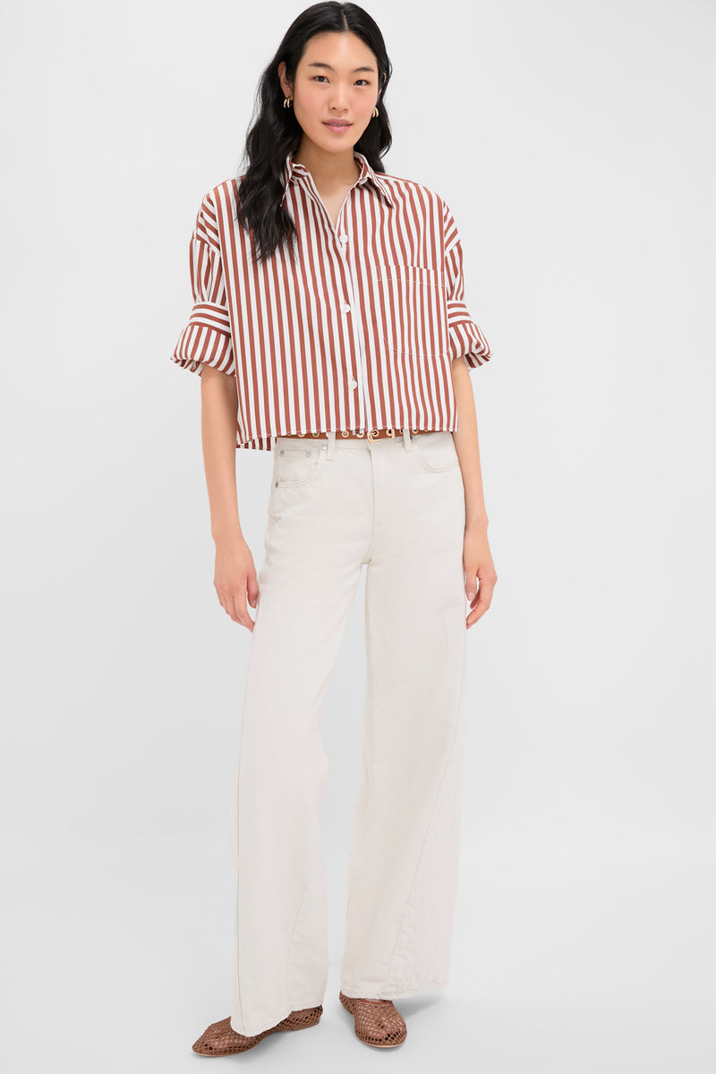 Ivory and Cognac Next Ex Shirt