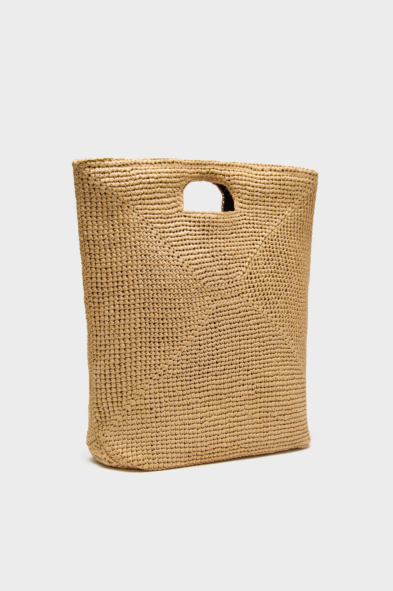 Desert Palm Rori Bag