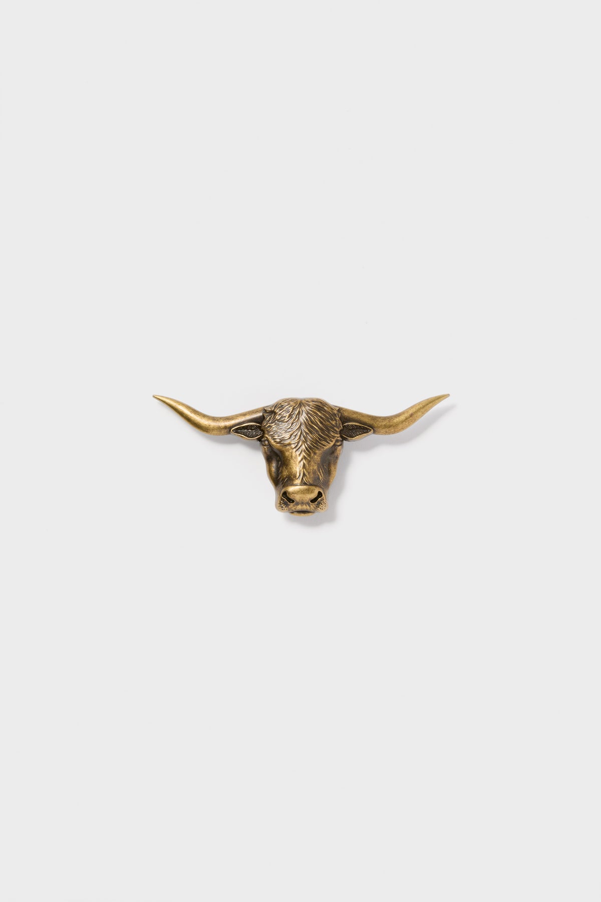 Brass Lansing Longhorn Buckle