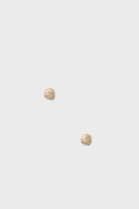 Clam Shell Stud Earrings