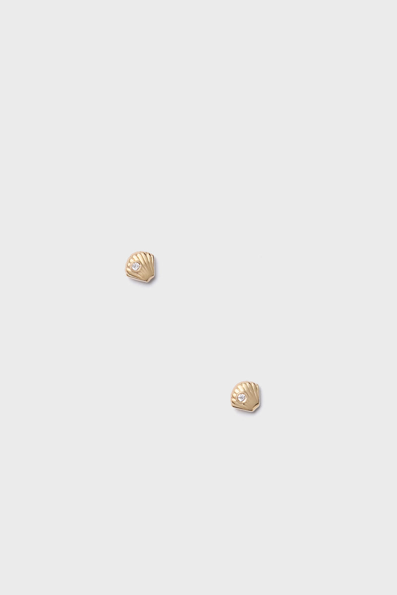 Clam Shell Stud Earrings