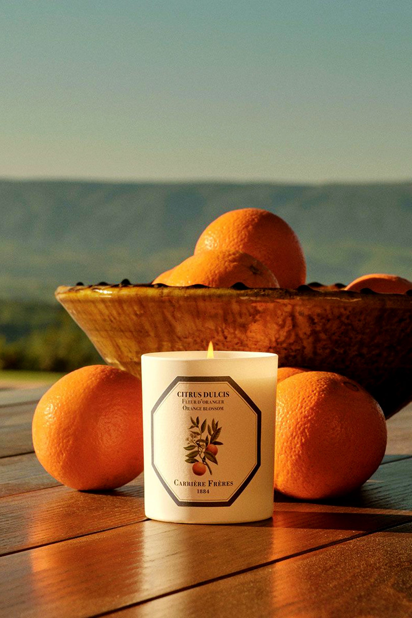 Blossom Candle by Carrière Frères on a wooden surface, surrounded by fresh oranges, evokes a classic, effortless, high-end ambiance with its sweet, floral fragrance.