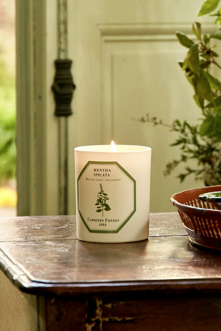 Spearmint Candle in a classic white glass vessel with a spearmint sprig illustration, exuding an effortless, high-end, herbaceous scent, perfect for a fun, relaxed ambiance.