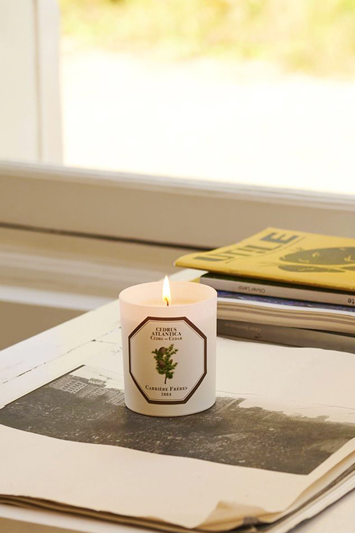 Cedar Candle by Carrière Frères burning elegantly atop a newspaper, embodying classic, effortless luxury with a high-end, woody fragrance perfect for gifting or personal enjoyment.