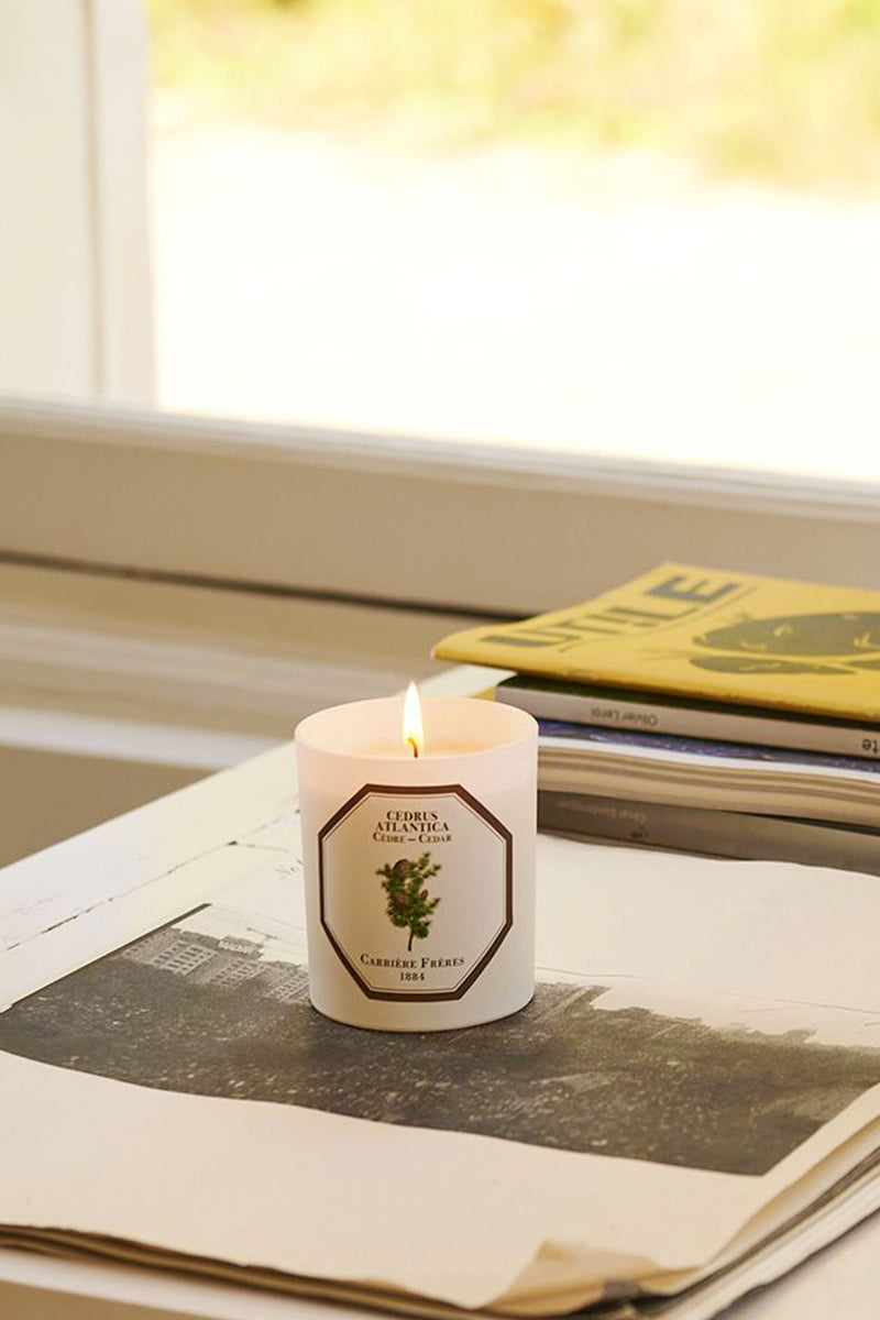 Cedar Candle by Carrière Frères burning elegantly atop a newspaper, embodying classic, effortless luxury with a high-end, woody fragrance perfect for gifting or personal enjoyment.