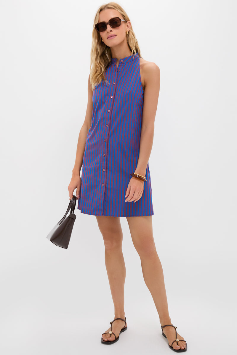 Atlas Stripe Shirley Mini Dress