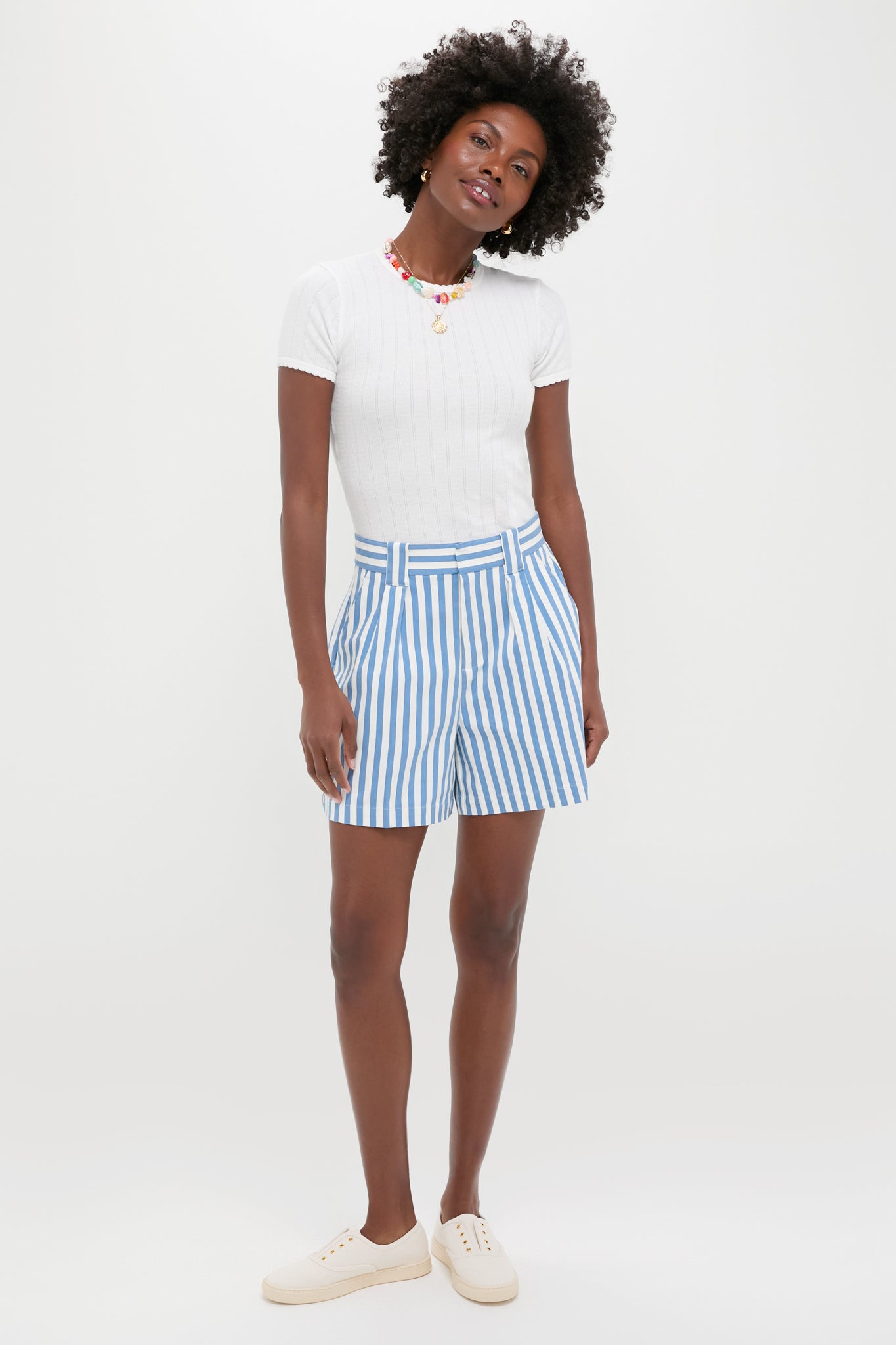 Blue and White Stripe Canvas Briggs Safari Short