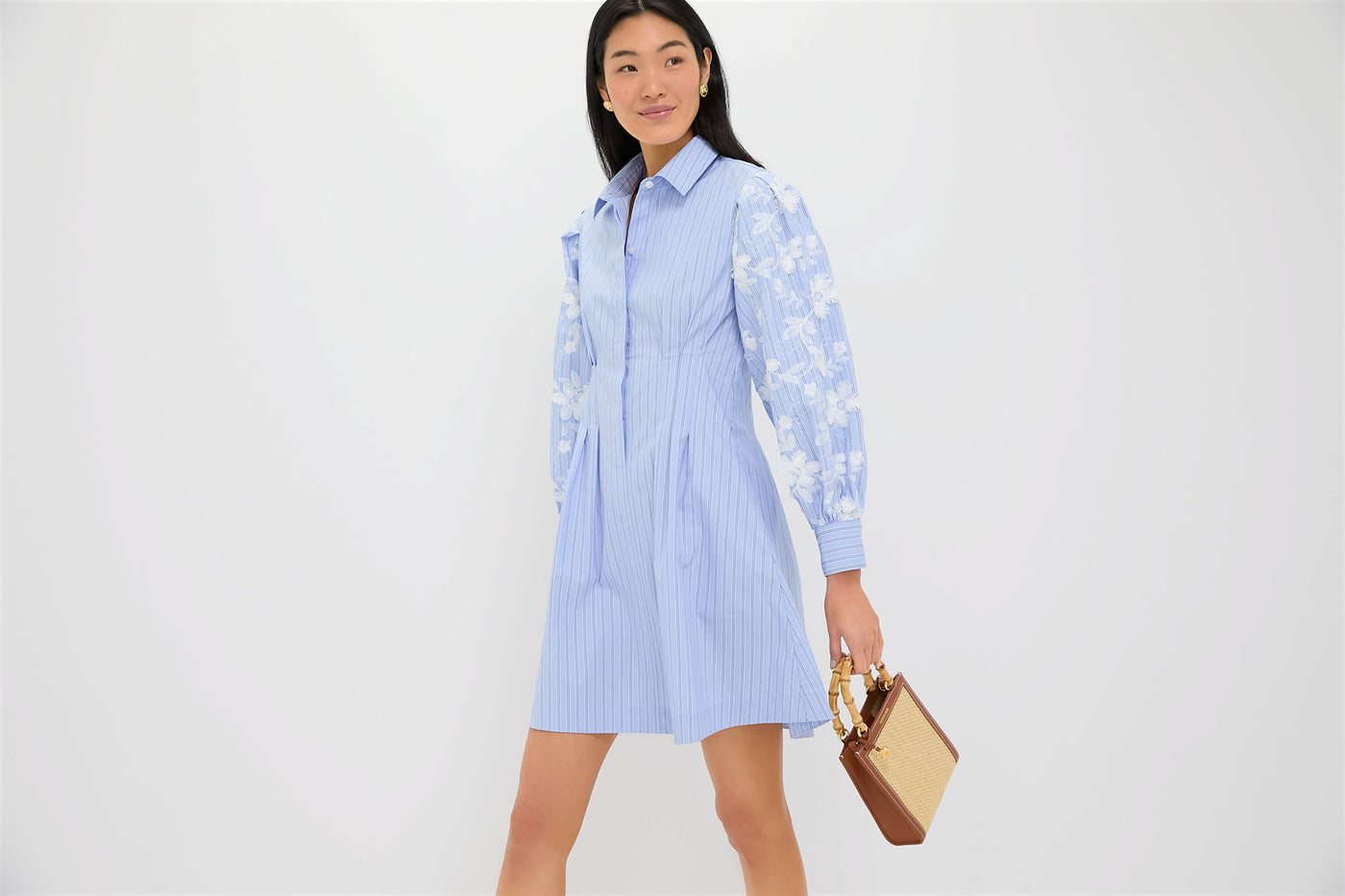 Blue Stripe Embroidery Mini Corinne Dress