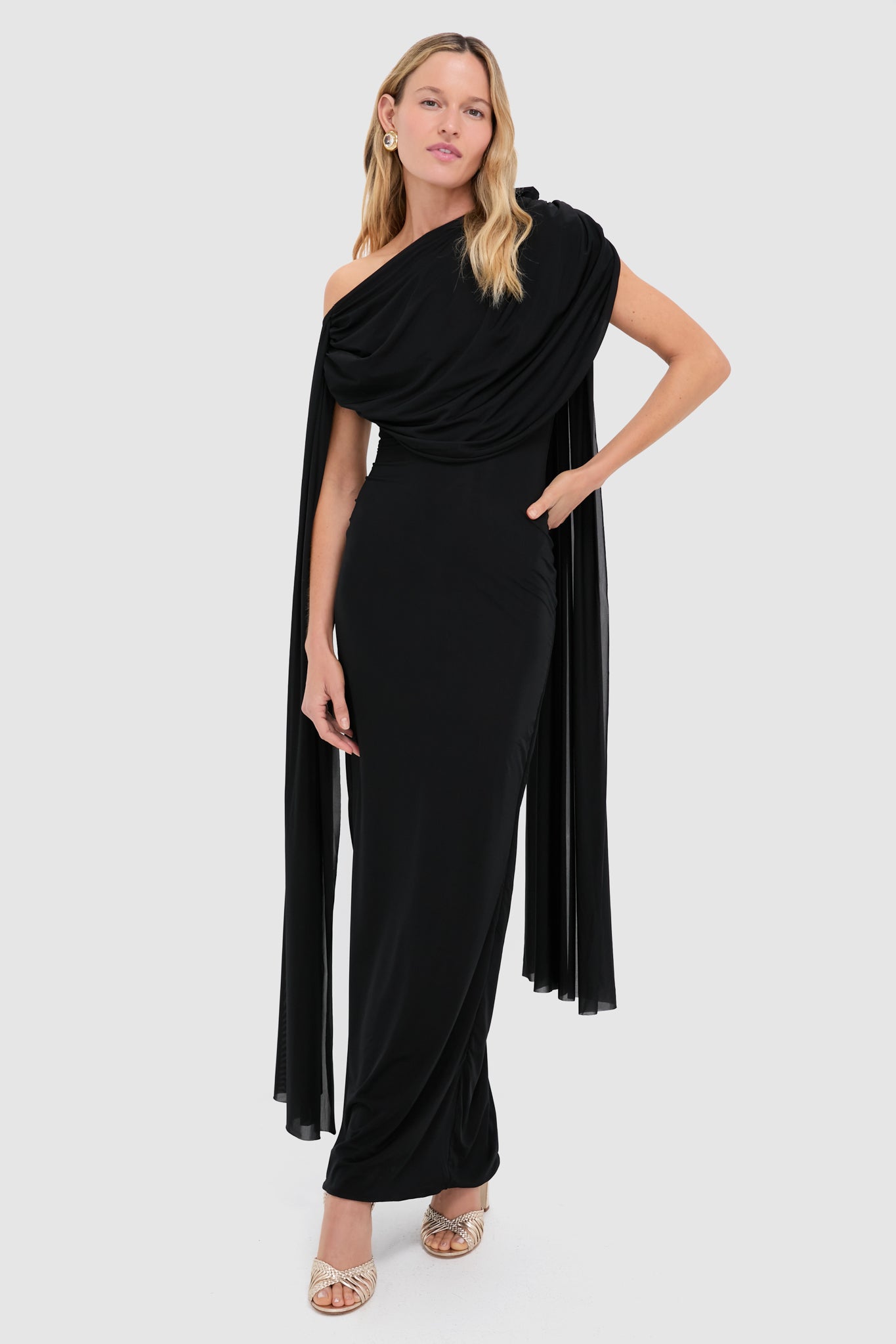 fitted lace wedding dress Batis Maxi Dress in Animal Black Net main image 1