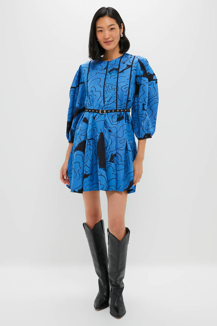 blue dress for baby girl Steel Blue Rose Printed Eden Dress
