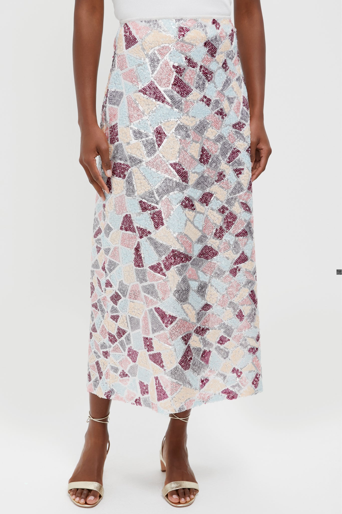 Sequin Flare Arden Maxi Skirt | Tuckernuck