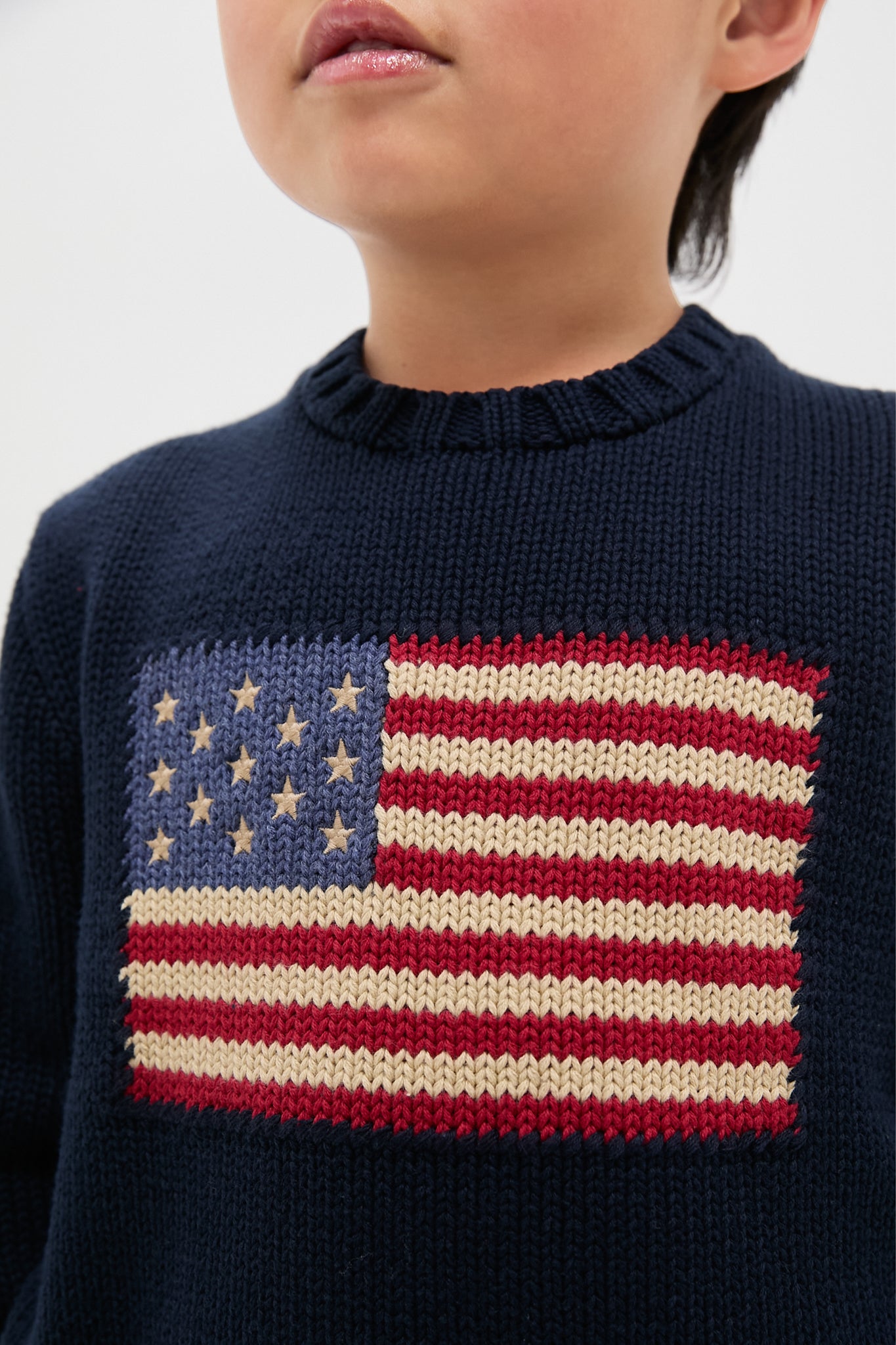 Navy Flag Cotton Crewneck Sweater
