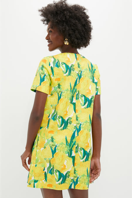 Zesty Mini Swing Dress