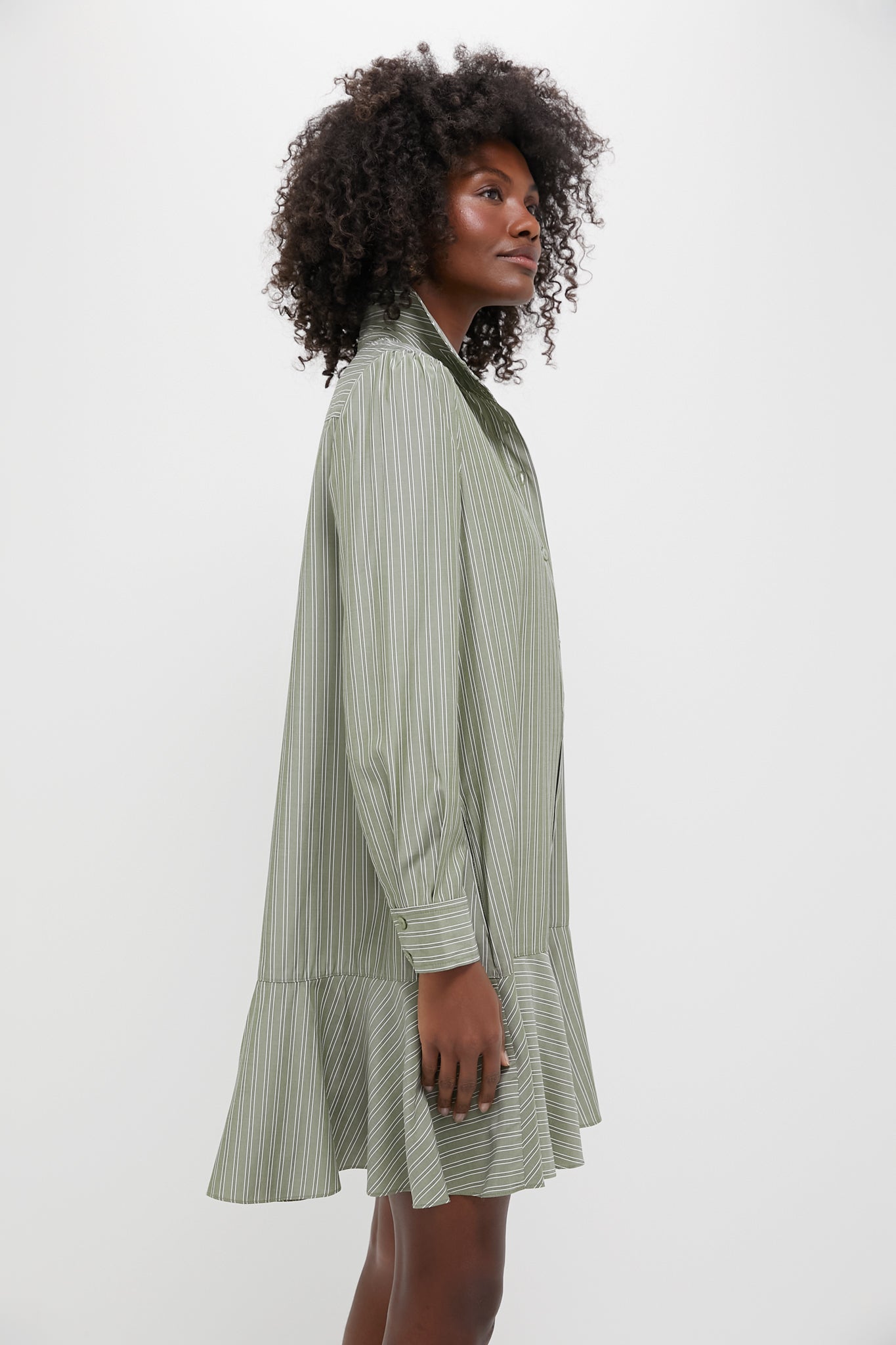 Green Stripe Callahan Shirt Dress