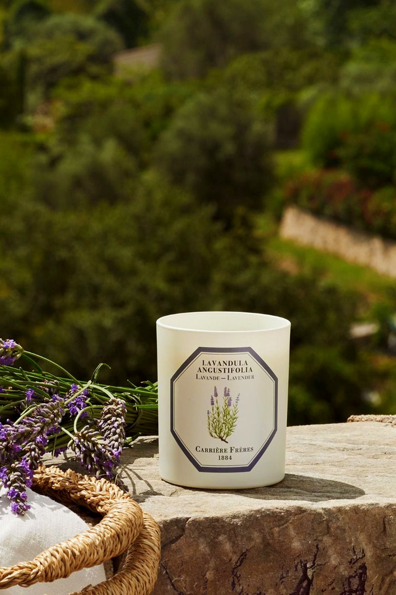 Classic Lavender Candle by Carrière Frères, elegantly set with fresh lavender, embodies an effortless, high-end fragrance experience with 40-45 hours burn time.