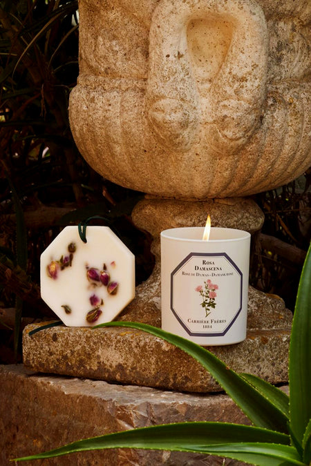 Damask Rose Candle by Carrière Frères in a white glass container with a matching wax ornament, exuding a classic, high-end fragrance. Perfect for an effortless, fun, and luxurious ambiance.