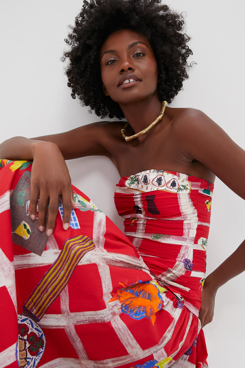 Picnic Red Malla Dress