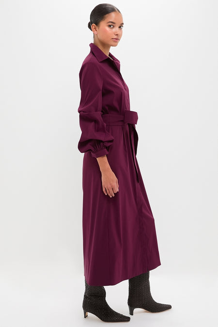 Dark Winetasting Alessia Maxi Dress