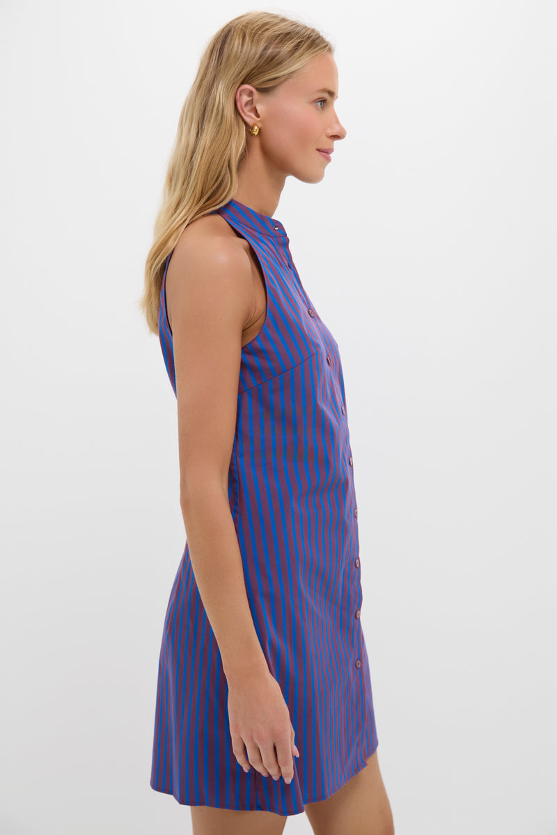 Atlas Stripe Shirley Mini Dress