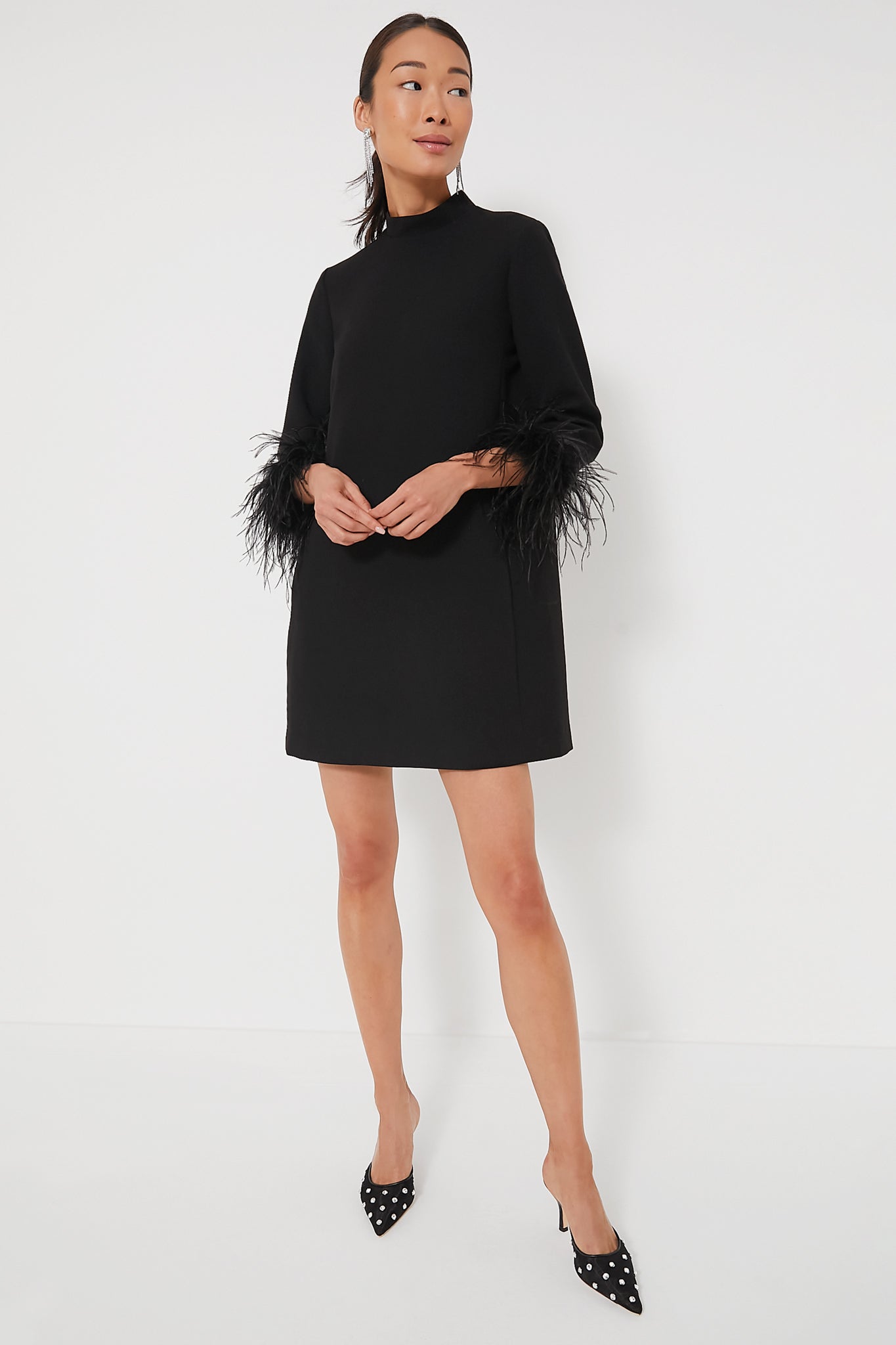 Women's Black Feather Mod Ellie Dress | Tuckernuck