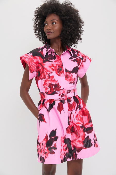 tuckernuck red chloe dress Cocoa Dot Chloe Dress