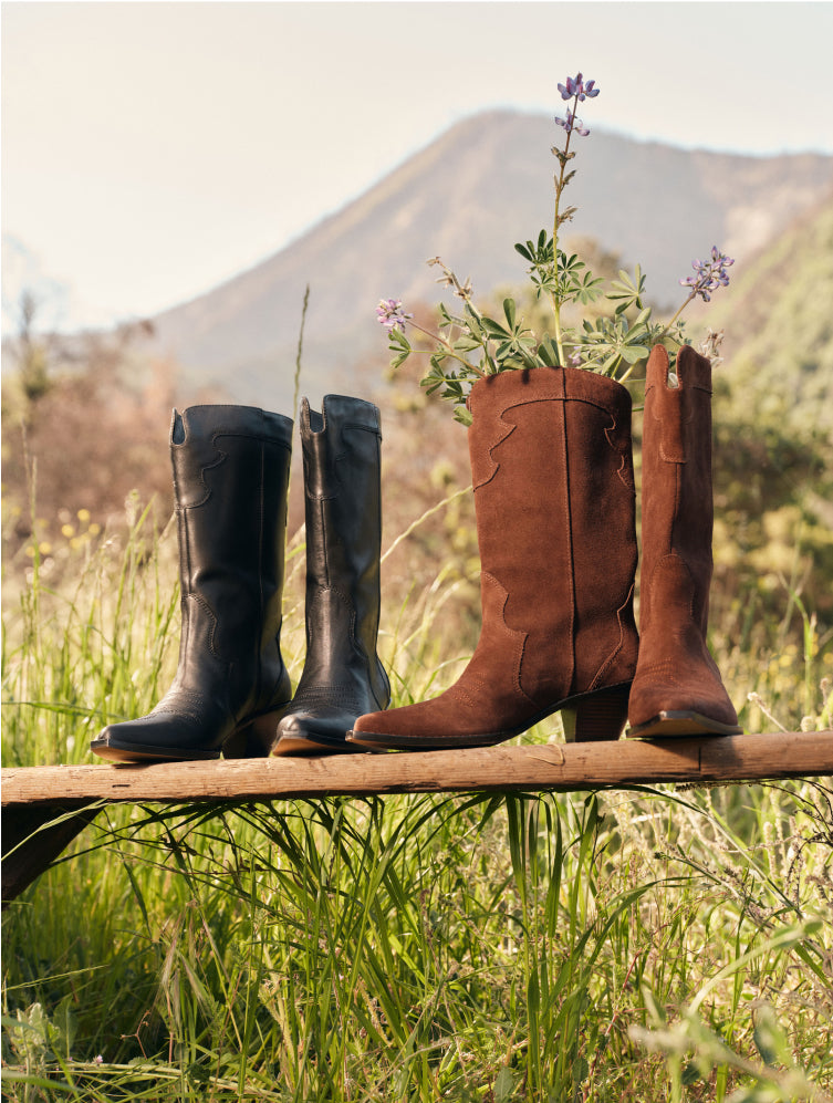 Cowboy boots in front of a mountain. A pair of black leather boots and a pair of brown suede boots. 