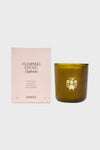 Night Blooming Jasmine & Damask Rose Candle