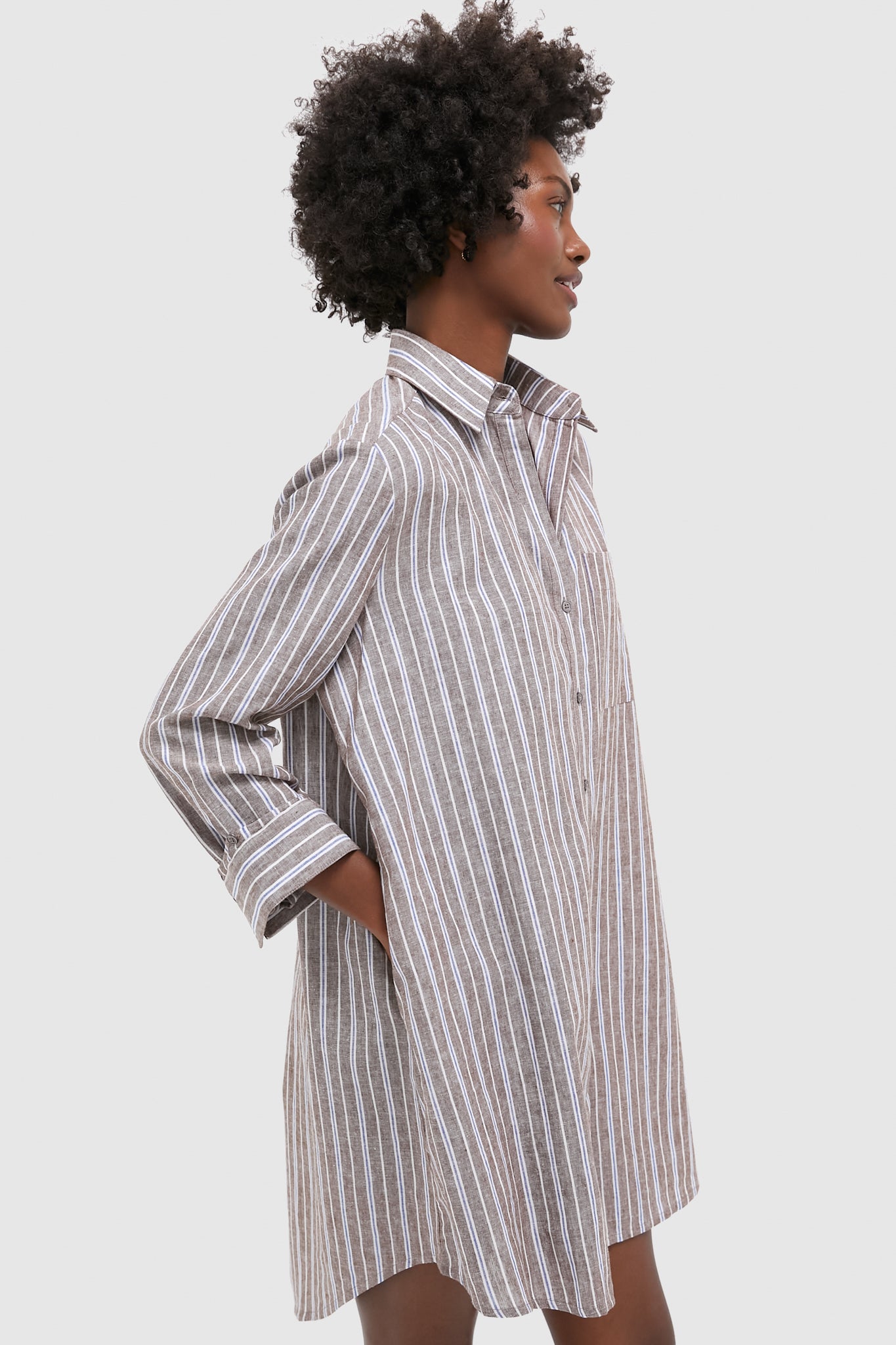 Dove Stripe Linen Carlotta Shirt Dress