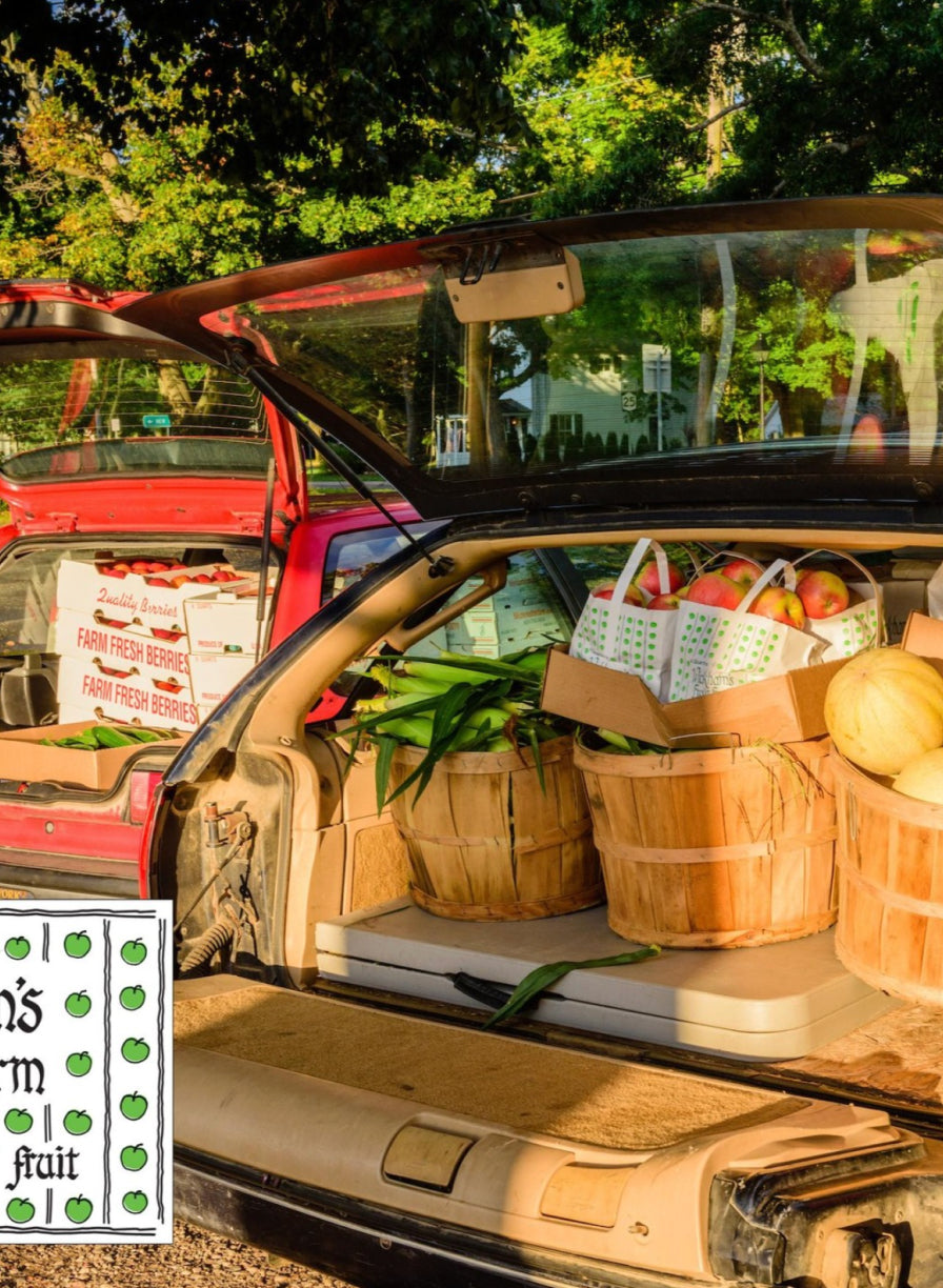 Back of car filled with fresh produce 