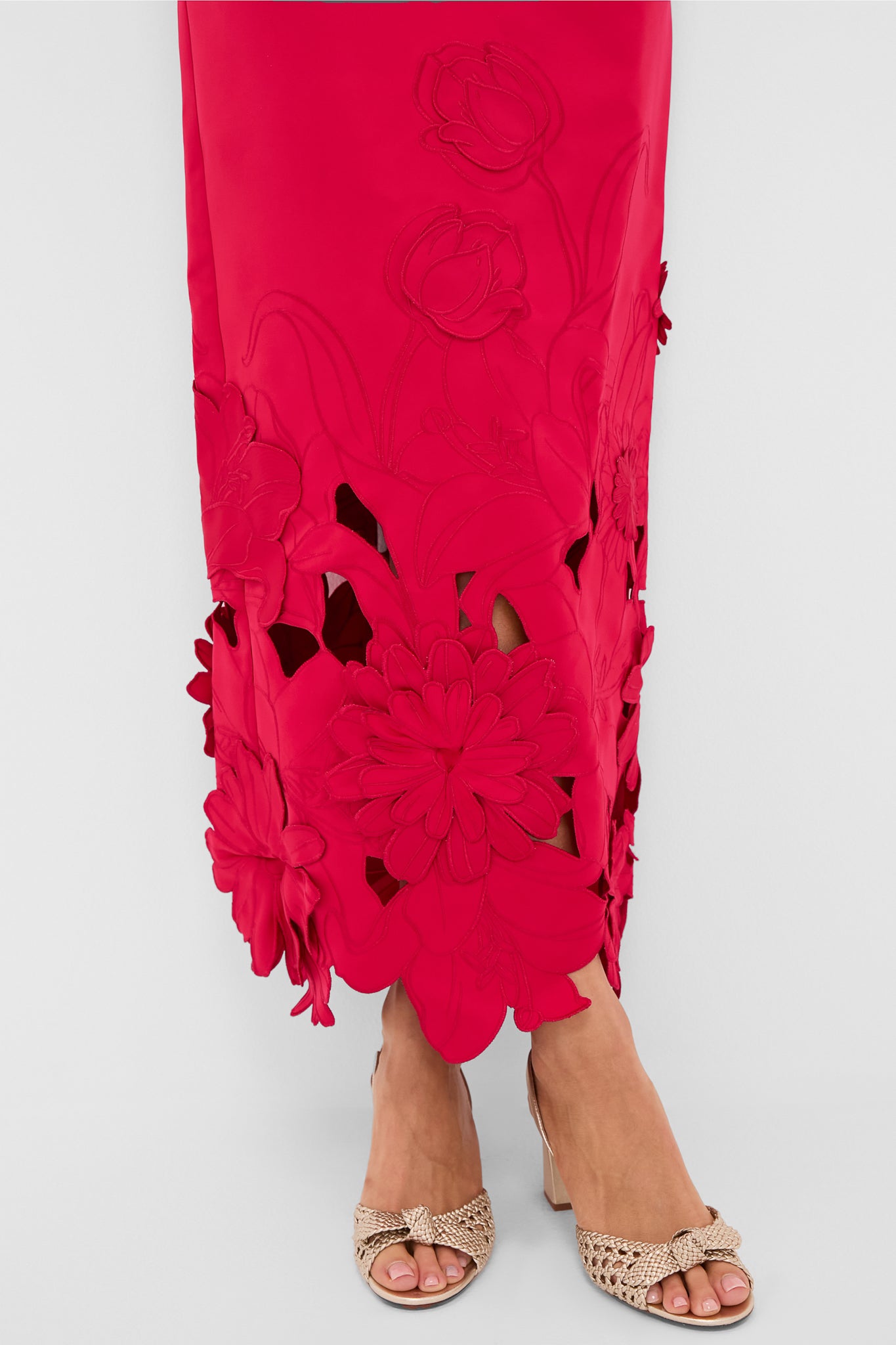 Rosa Rayna Applique Bustier Maxi Dress