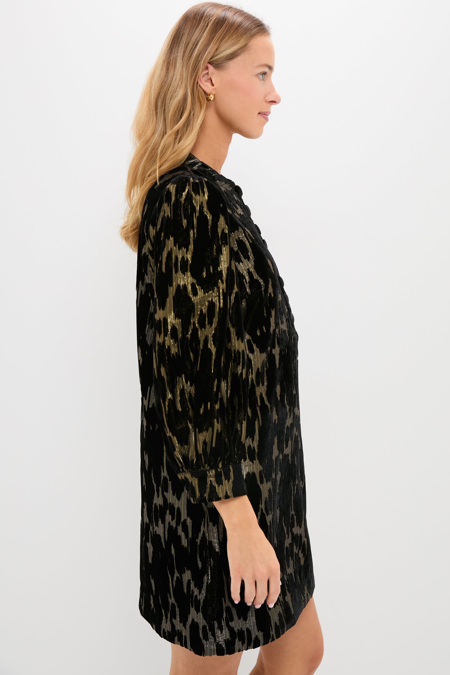 Metallic Velvet Burnout Samantha Dress