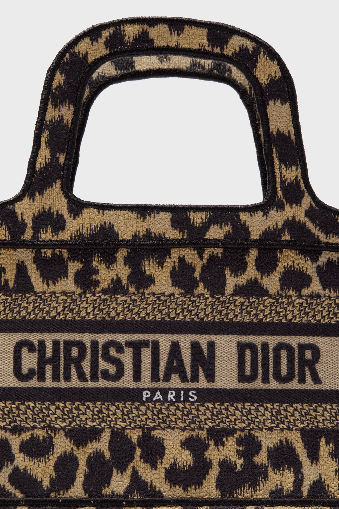 Dior Leopard Micro Book Tote
