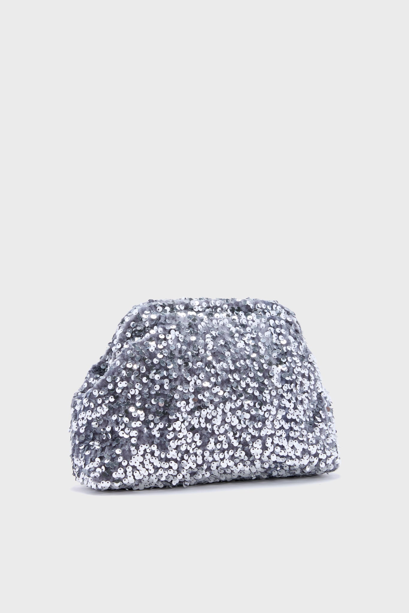 Silver Sparkle Clutch