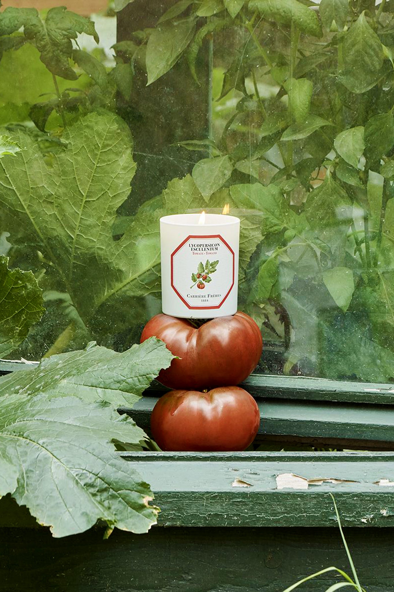 Tomato Candle by Carrière Frères sits effortlessly on a green windowsill with ripe tomatoes, exuding a classic, high-end, and fun botanical fragrance experience.