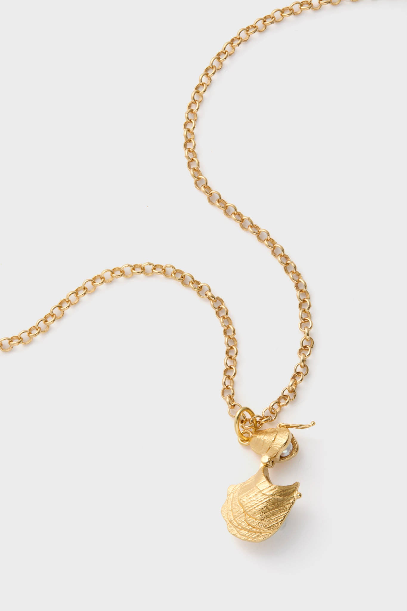 Gold Oyster Vesta Case 26" Necklace