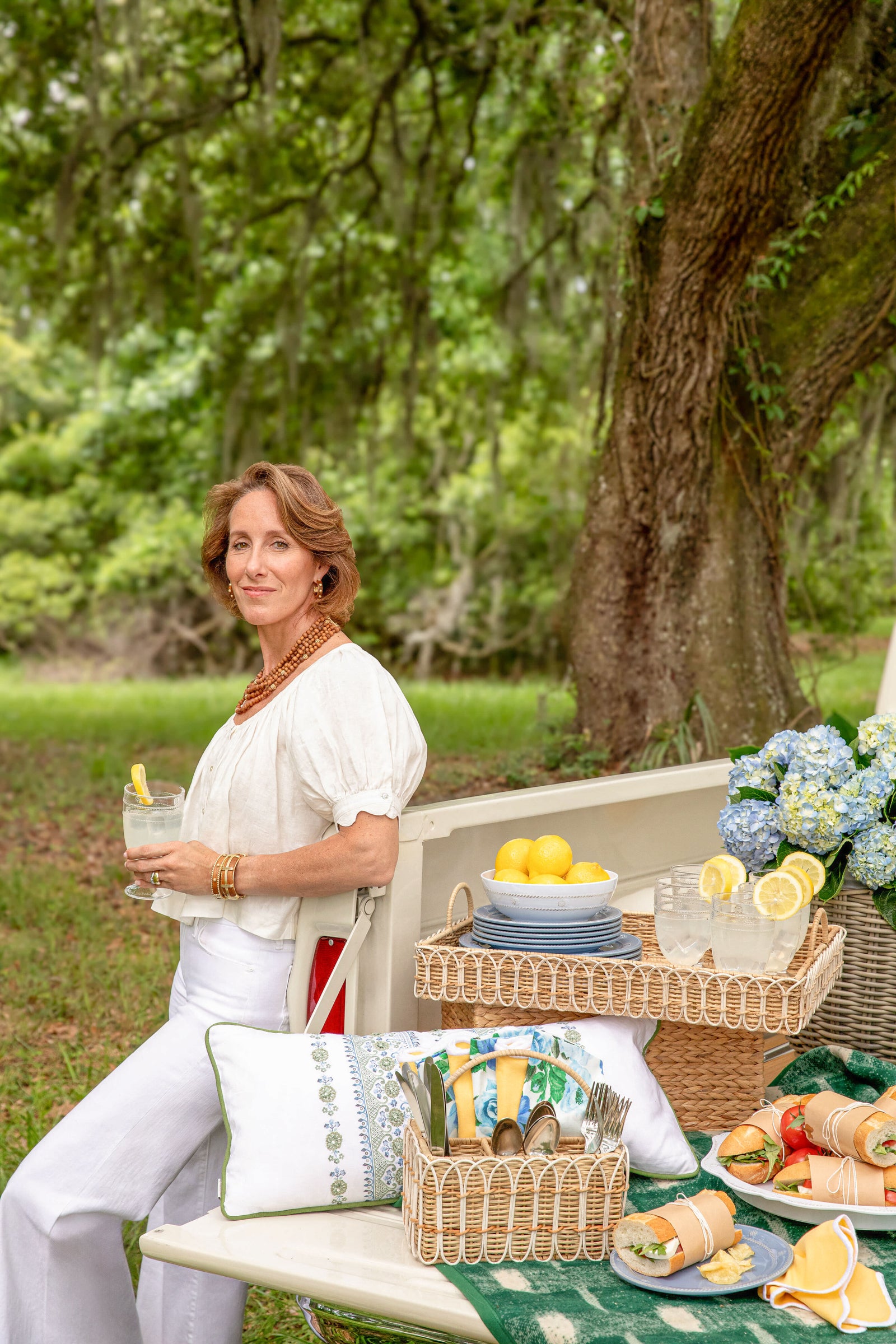 Isabella Acrylic Goblet Set Of 8 showcased in a classic, effortless picnic setup, exuding fun and high-end charm under a tranquil oak tree setting.