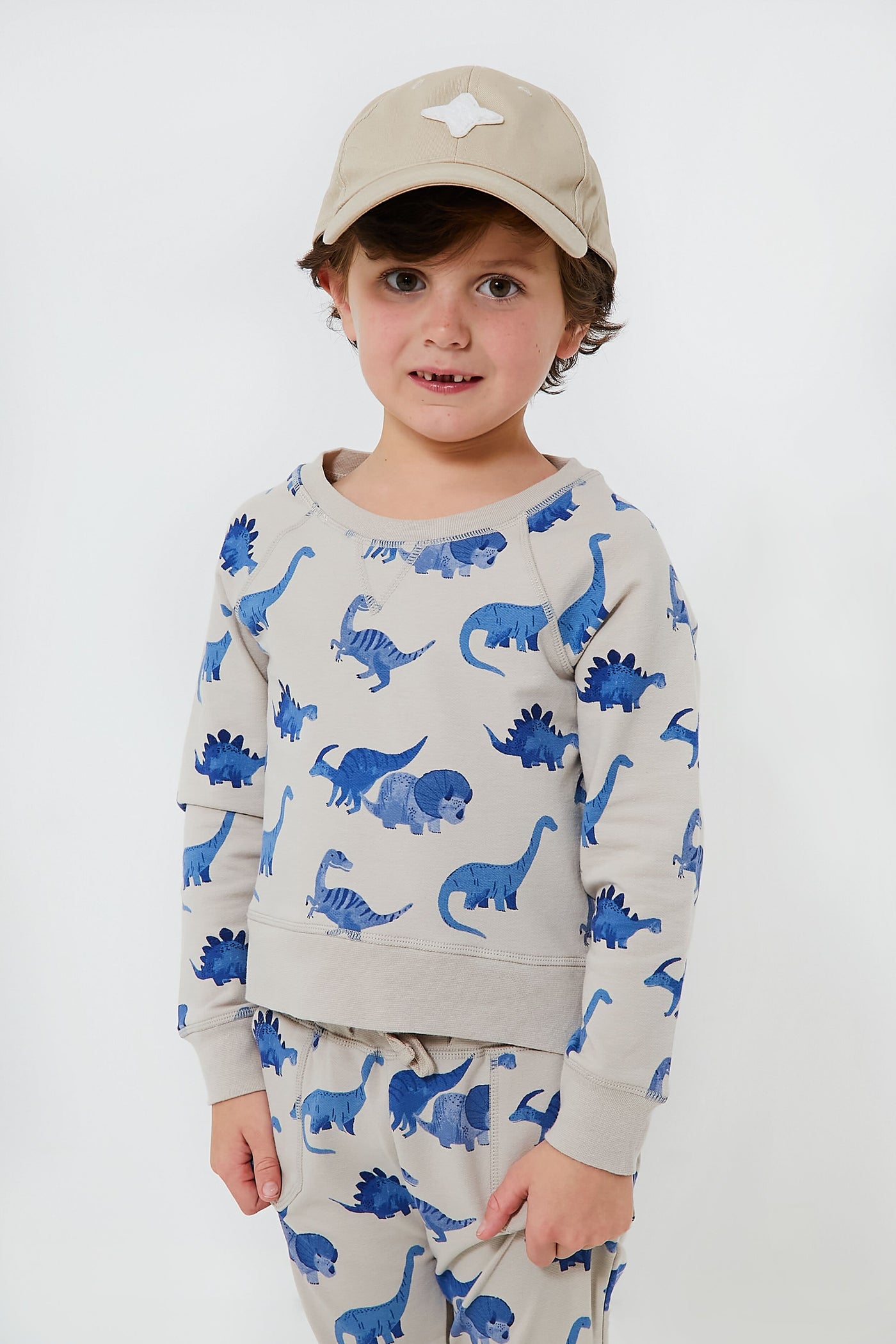 French Terry Dinos Raglan Sweatshirt and Jogger Set