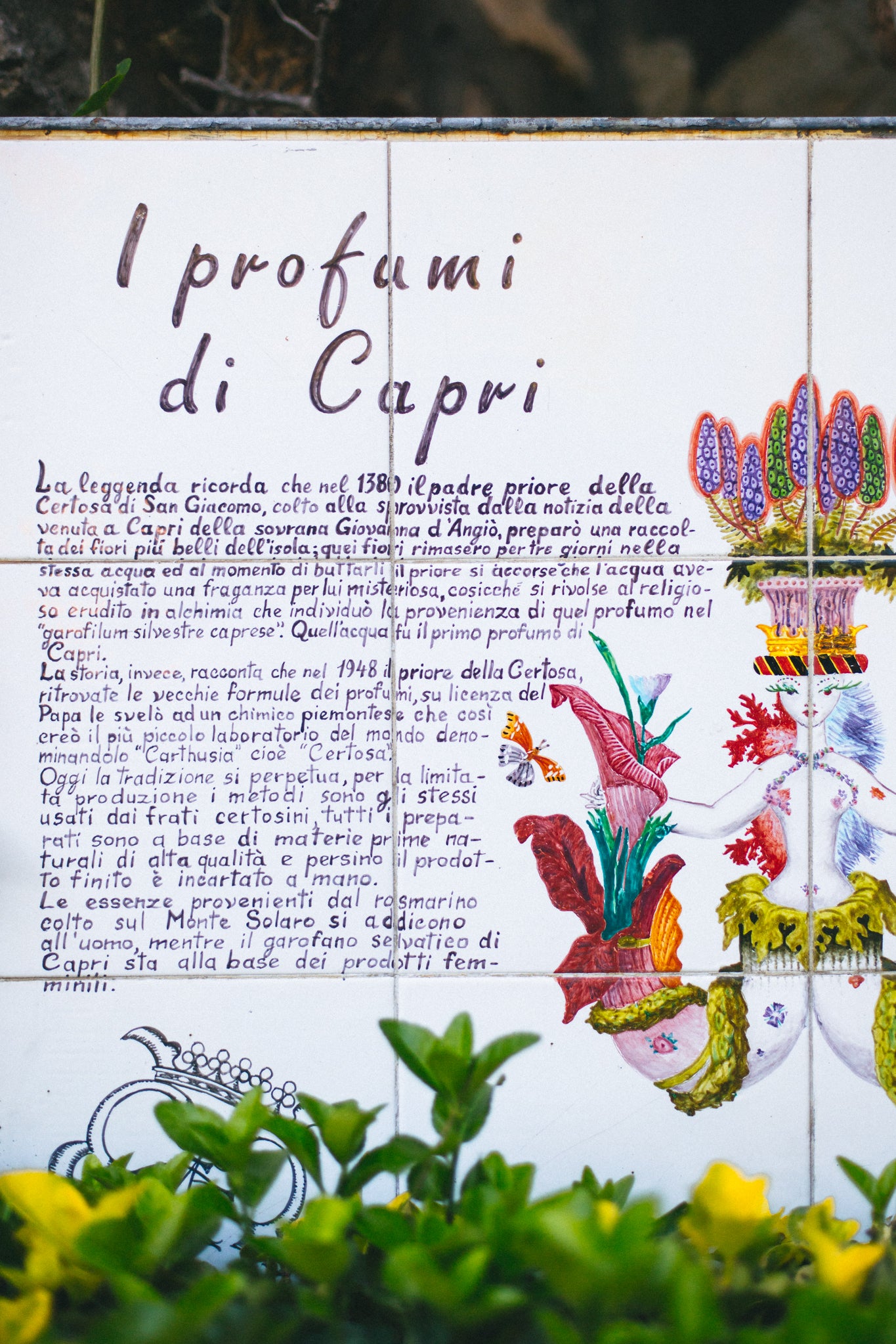The Scent of Capri Perfume