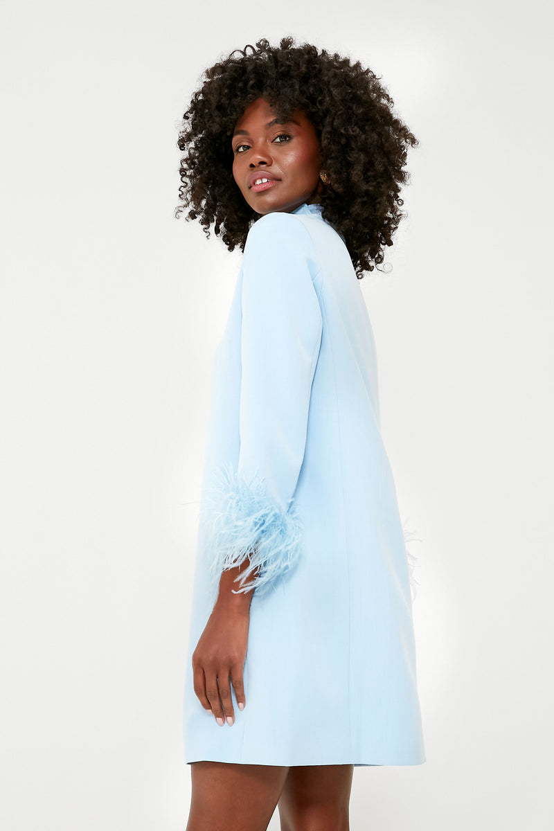 Light Blue Feather Mod Ellie Dress
