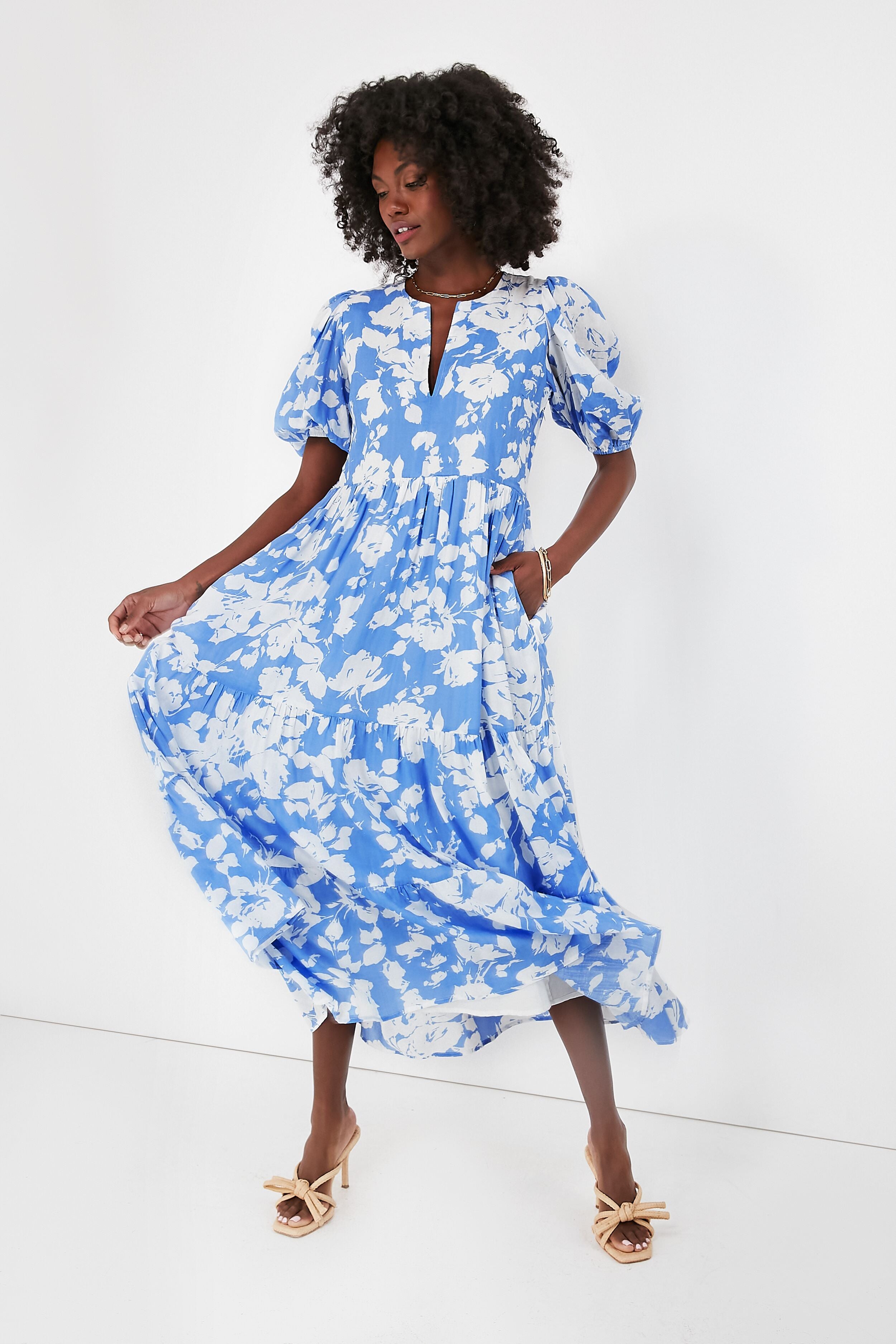 Blue and White Floral Cisco Maxi Dress