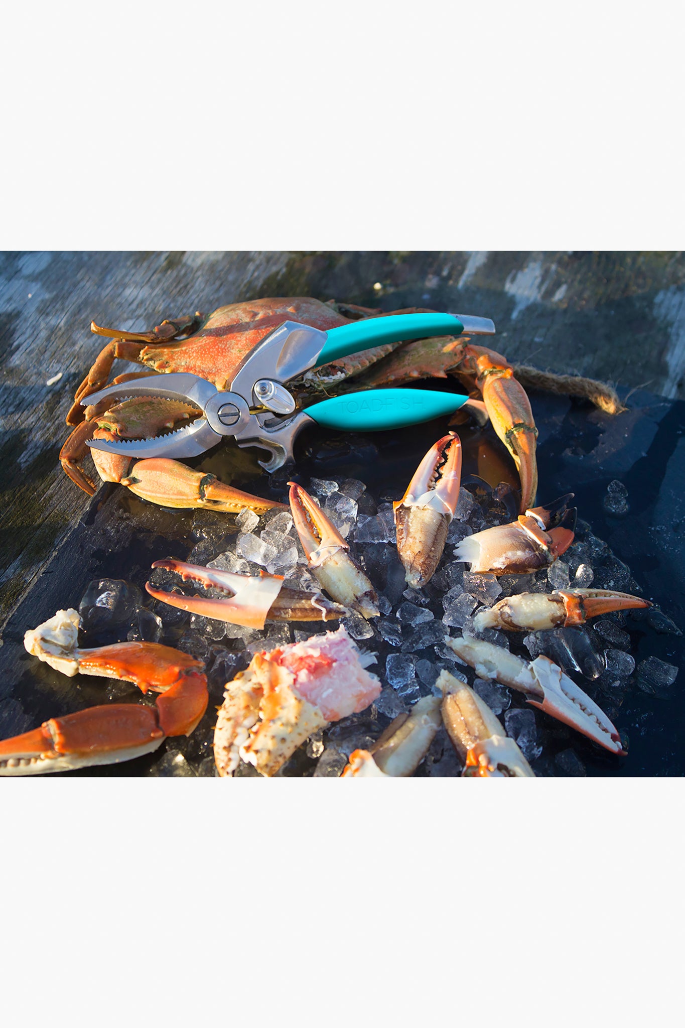Toadfish Claw Cutter
