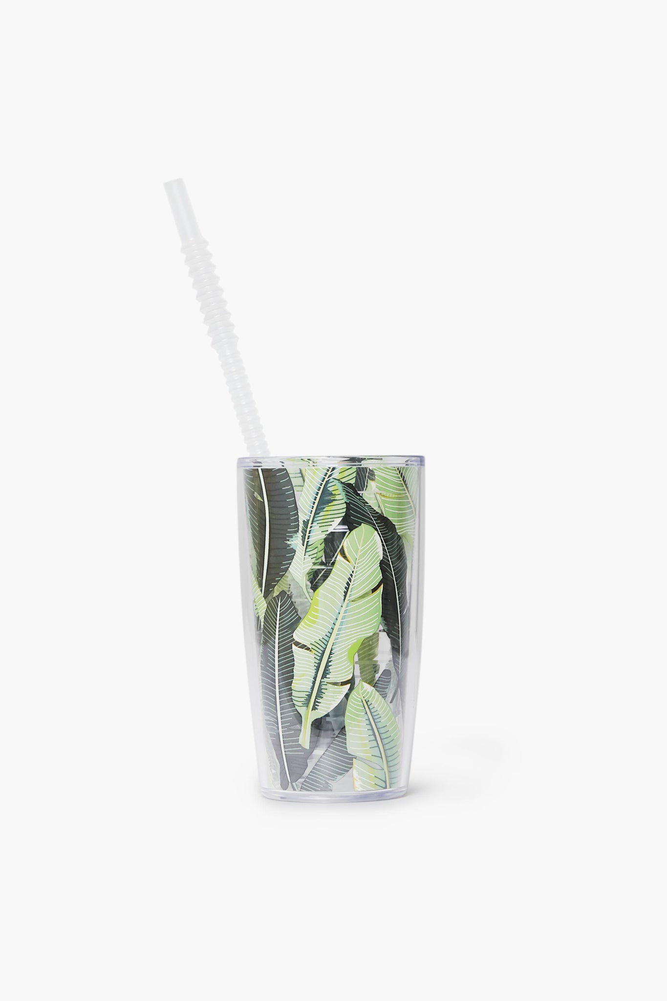 Reusable Flexible Straws (Set of 6)