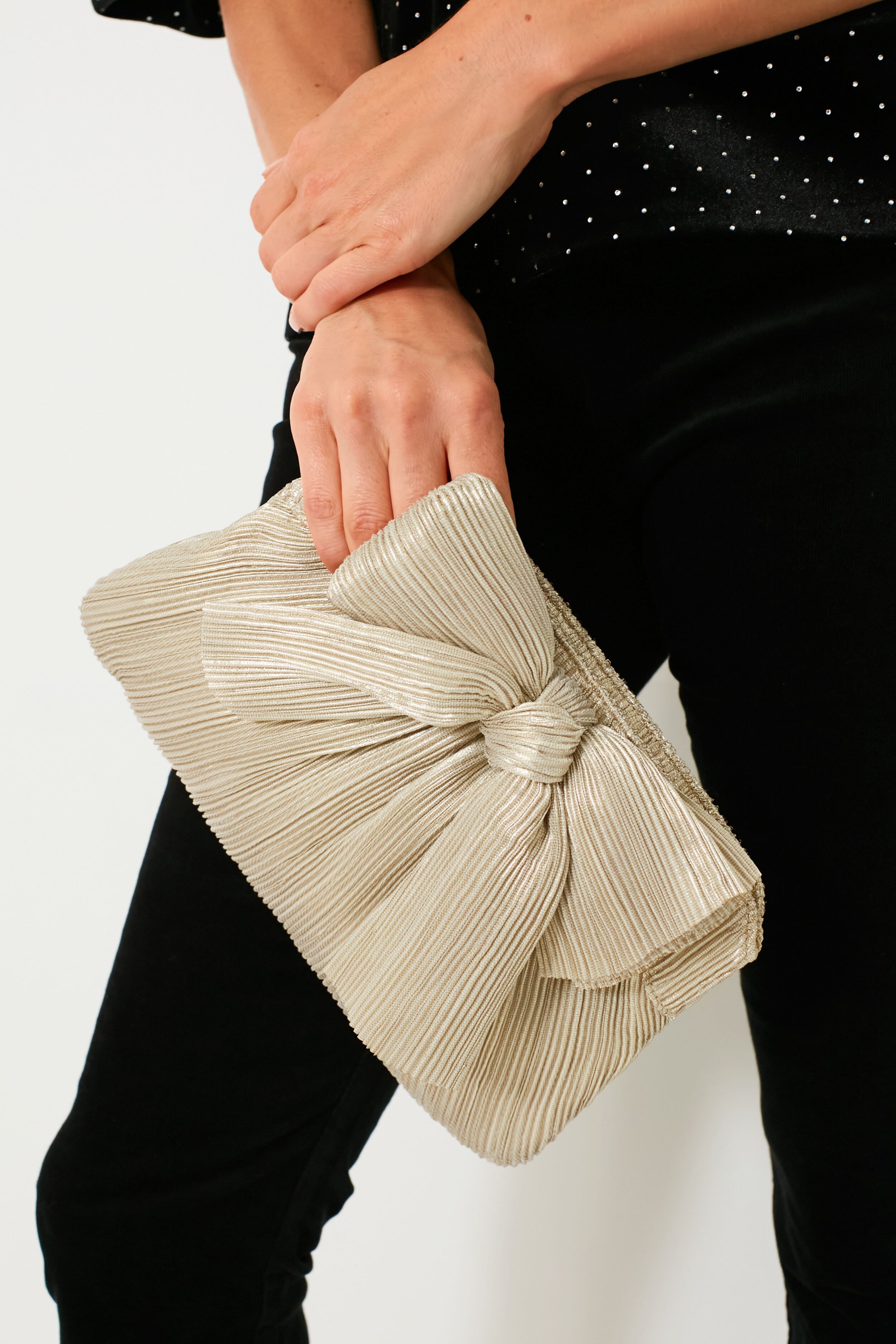 Platinum Rayne Pleated Frame Clutch