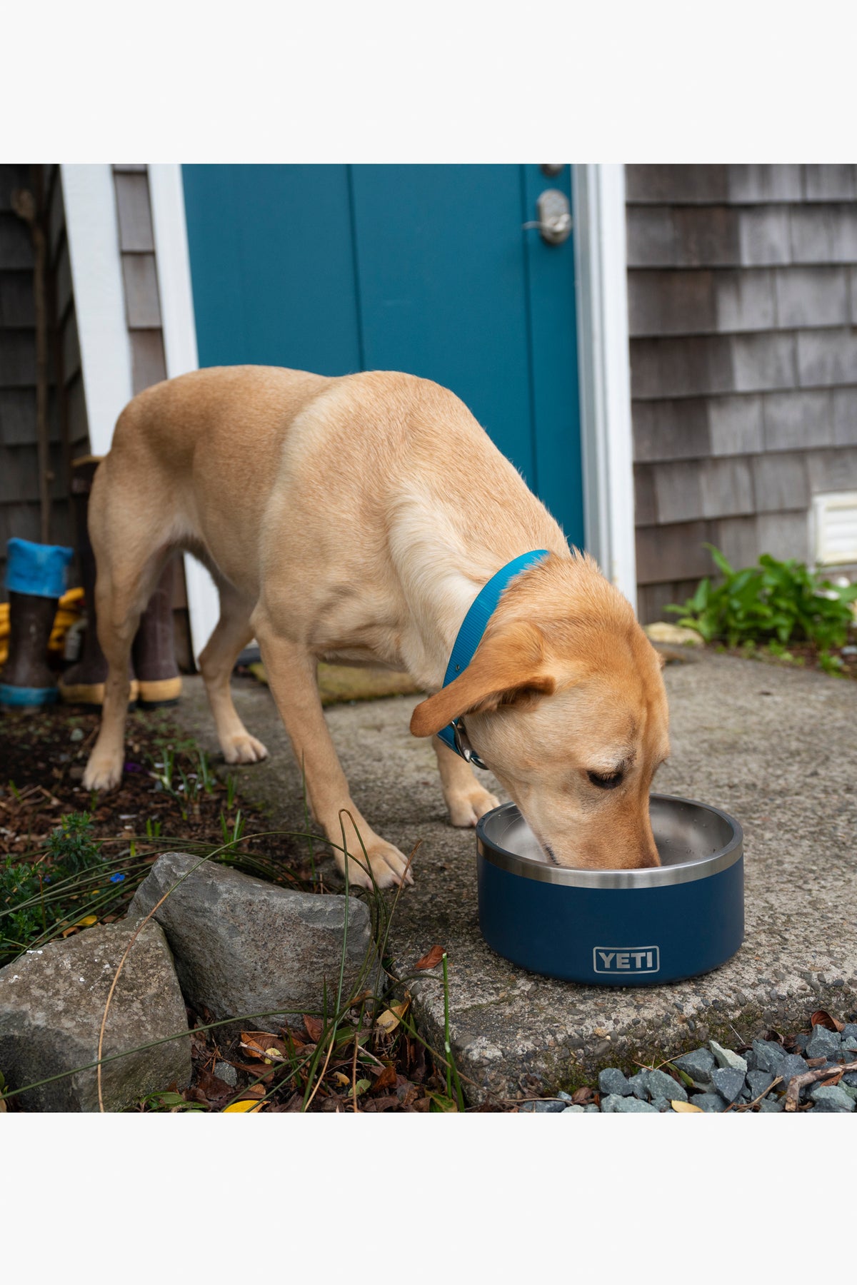 Navy Boomer 8 Dog Bowl