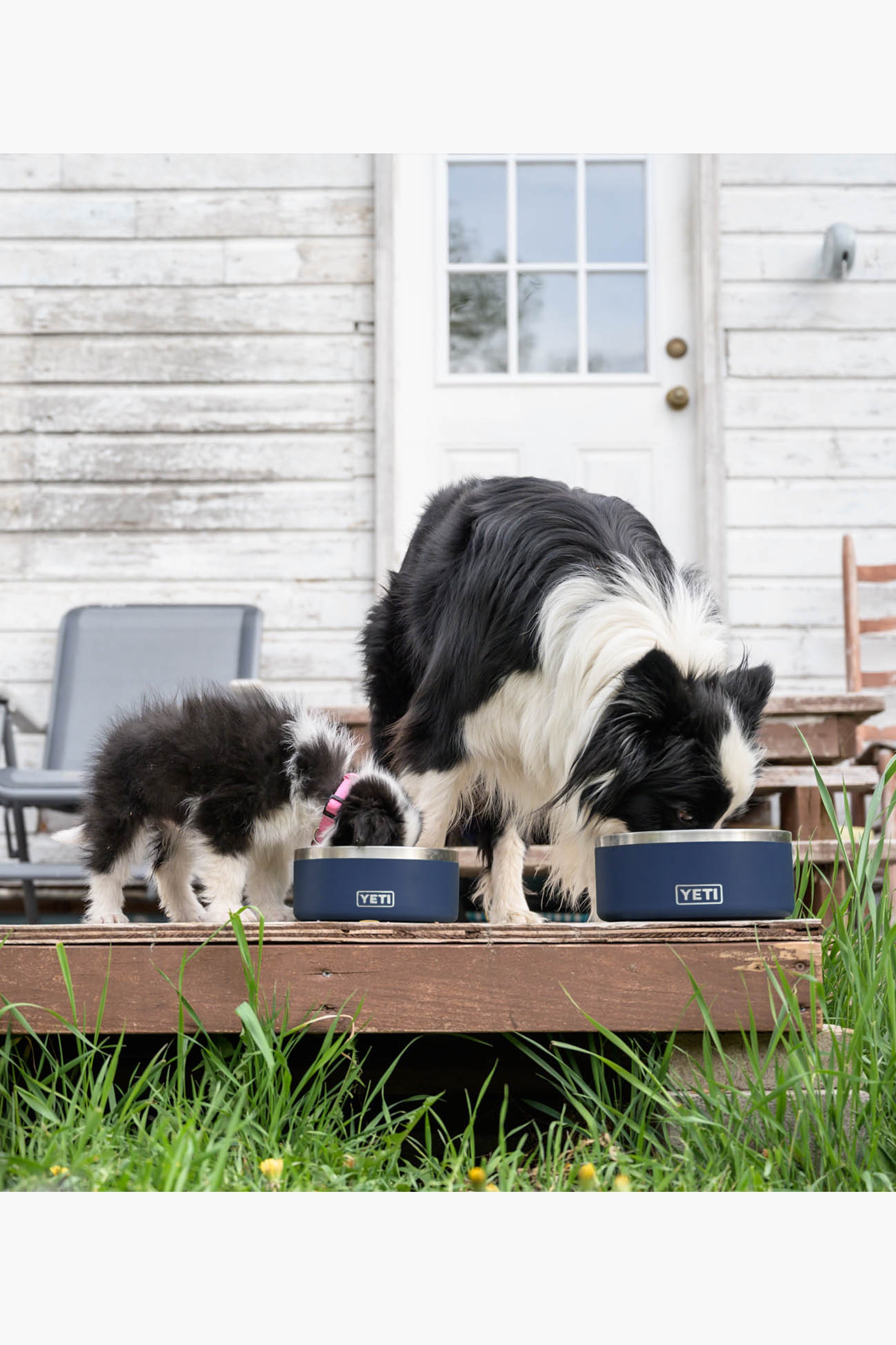 Navy Boomer 8 Dog Bowl | YETI