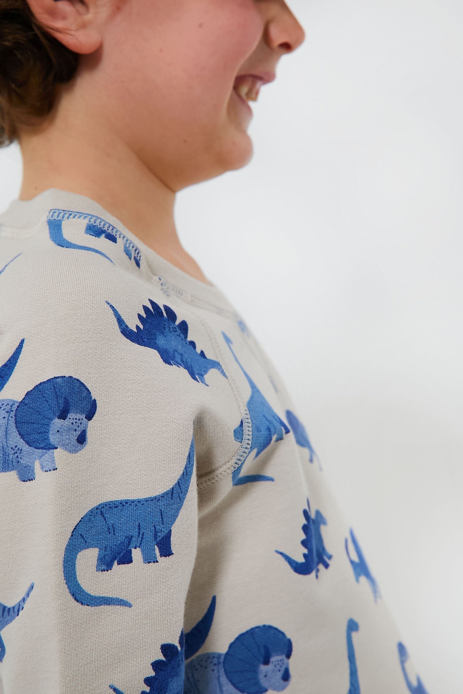 French Terry Dinos Raglan Sweatshirt and Jogger Set
