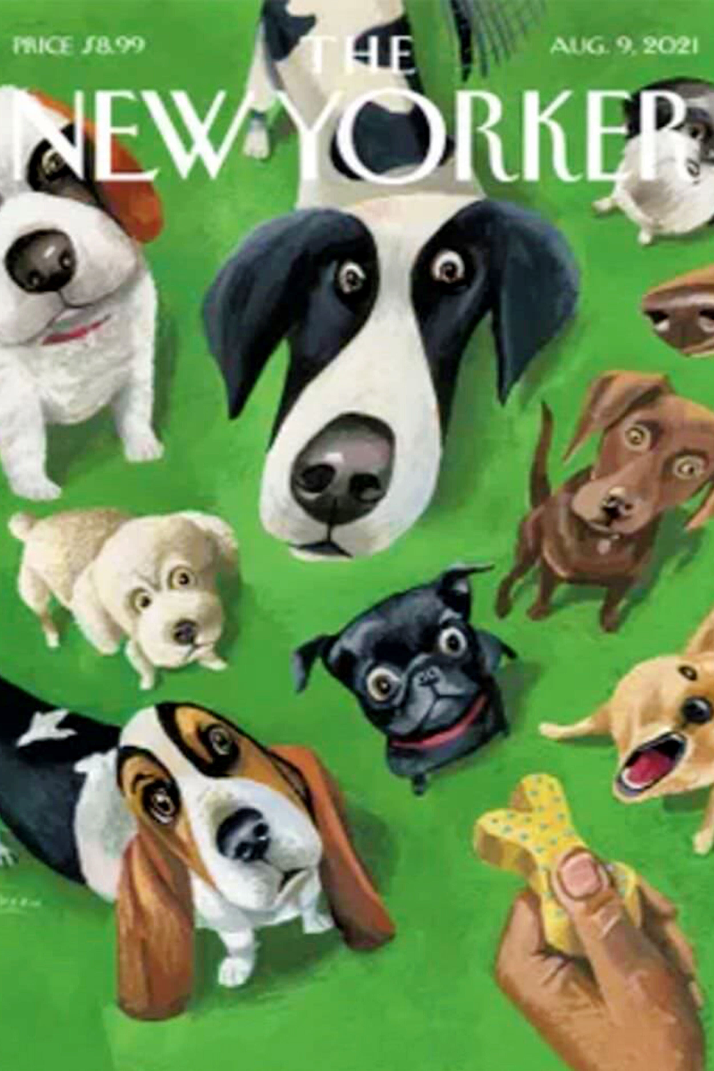 Summer Treat Jigsaw Puzzle