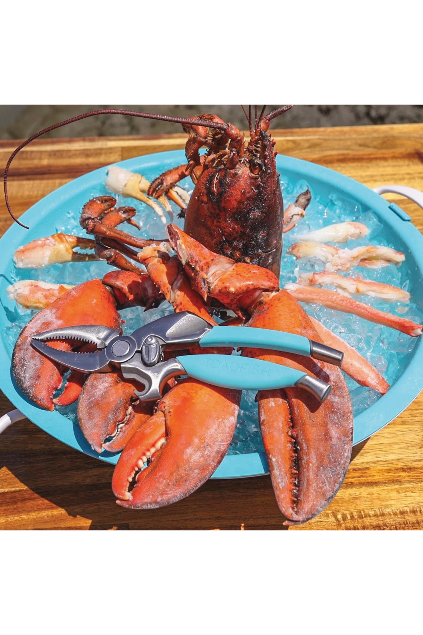 Toadfish Claw Cutter