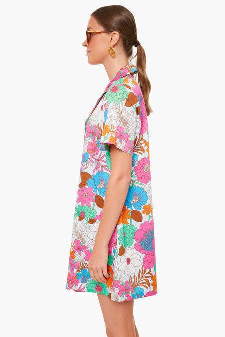 Wild Rhapsody Townes Dress