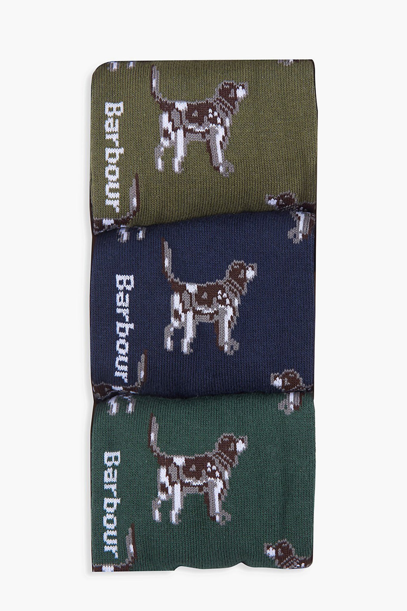 Forest Mist Pointer Dog Socks Gift Box